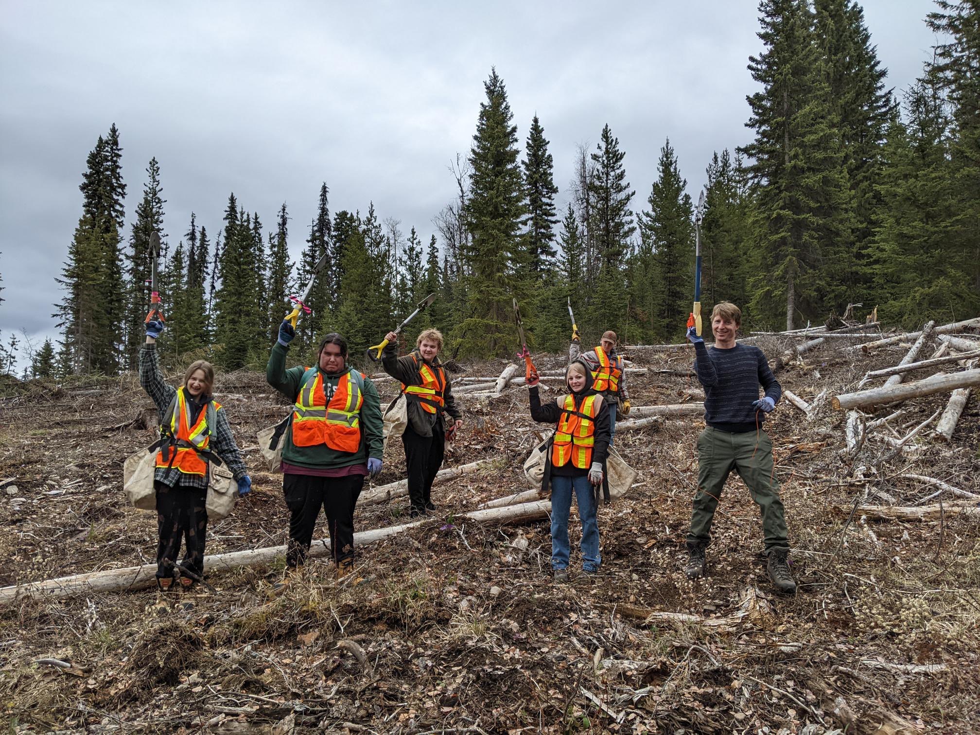 Project Forest Management - SD91