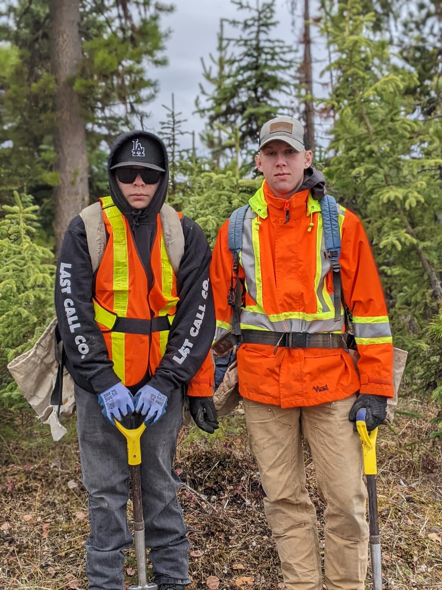 Project Forest Management - SD91